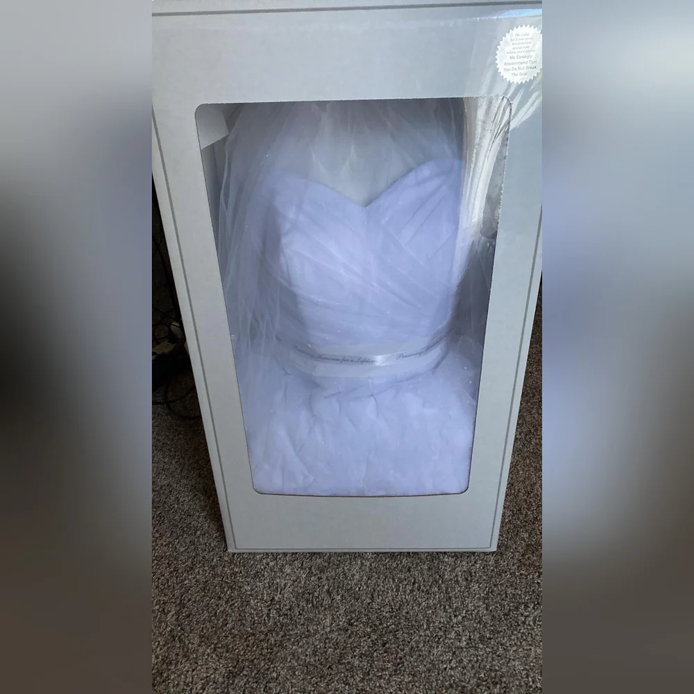 White Wedding Dress and Veil - Picture 2 of 6